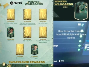 winter wildcards treasure hunt 2