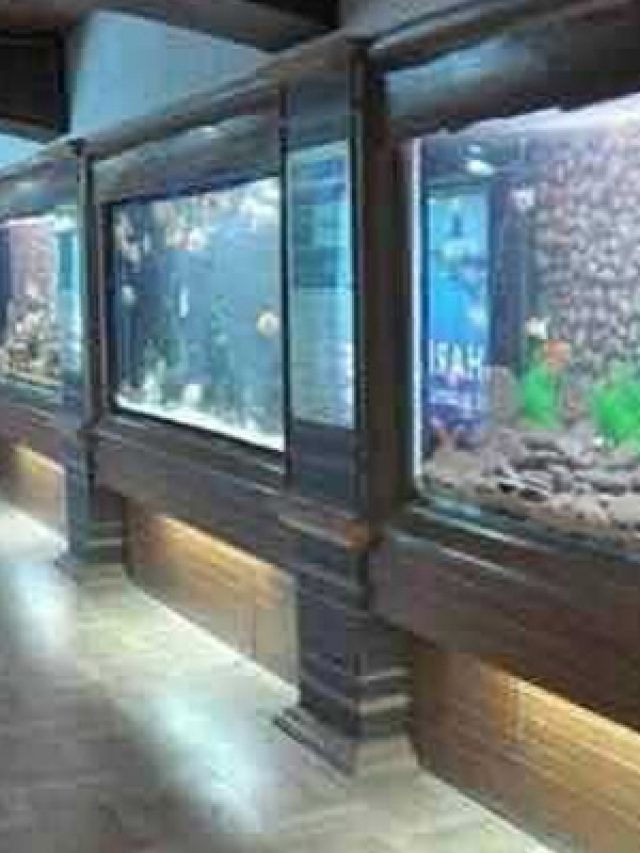 jagdish-chandra-bose-aquarium-surat-tourism-opening-time-closing