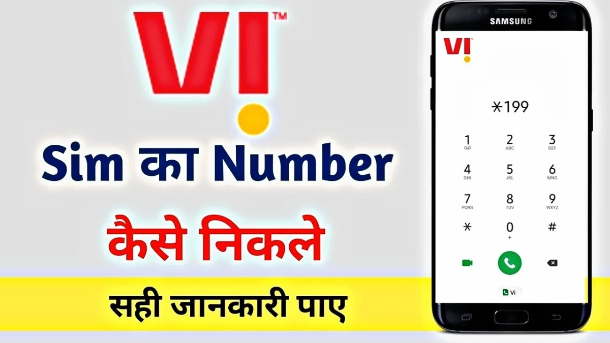 VI sim number process