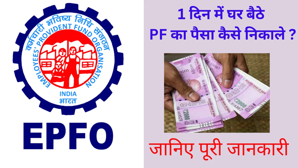 employees provident fund