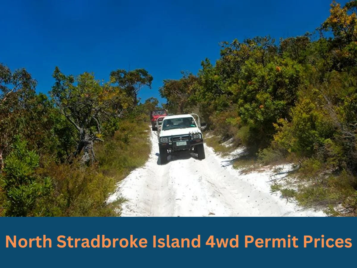 4wd permit prices