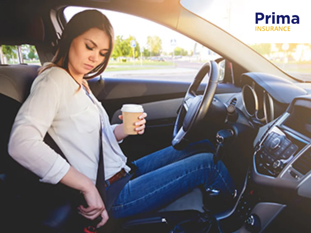 Prima Insurance