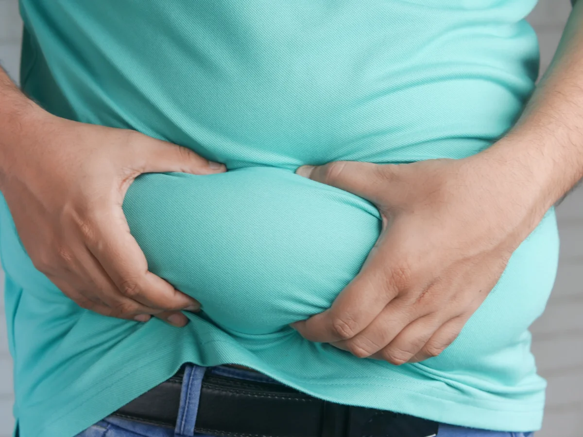 fat stomach