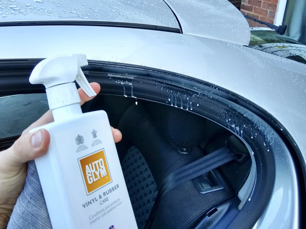 remove moss from car